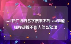 soul在广场的名字搜索不到 soul知道昵称却搜不到人怎么处理