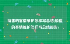 销售的客情维护怎样写总结(销售的客情维护怎样写总结报告)