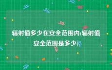 辐射值多少在安全范围内(辐射值安全范围是多少)