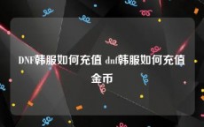 DNF韩服如何充值 dnf韩服如何充值金币