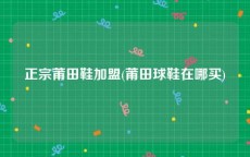 正宗莆田鞋加盟(莆田球鞋在哪买)