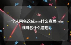 一个人网名改成echo什么意思(echo当网名什么意思)