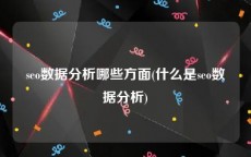 seo数据分析哪些方面(什么是seo数据分析)