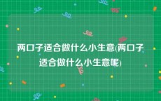 两口子适合做什么小生意(两口子适合做什么小生意呢)