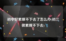 初中好累撑不下去了怎么办(初三很累撑不下去)