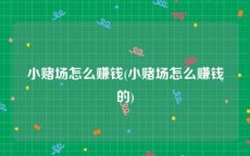 小赌场怎么赚钱(小赌场怎么赚钱的)