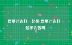 西瓜汁连籽一起榨(西瓜汁连籽一起榨会苦吗)