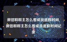 微信群群主怎么看成员退群时间 微信群群主怎么看成员退群时间记录