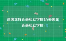 进国企好还是私立学校好(去国企还是私立学校)