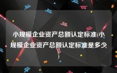 小规模企业资产总额认定标准(小规模企业资产总额认定标准是多少)