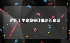 适用于小企业会计准则的企业