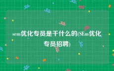 sem优化专员是干什么的(SEm优化专员招聘)