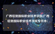 广西培贤国际职业技术学院(广西培贤国际职业技术学院专升本)