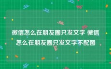 微信怎么在朋友圈只发文字 微信怎么在朋友圈只发文字不配图