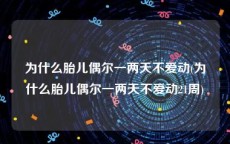 为什么胎儿偶尔一两天不爱动(为什么胎儿偶尔一两天不爱动21周)