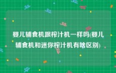 婴儿辅食机跟榨汁机一样吗(婴儿辅食机和迷你榨汁机有啥区别)