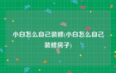 小白怎么自己装修(小白怎么自己装修房子)