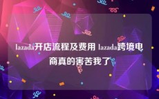 lazada开店流程及费用 lazada跨境电商真的害苦我了
