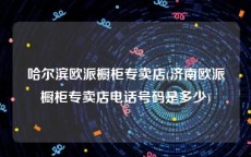 哈尔滨欧派橱柜专卖店(济南欧派橱柜专卖店电话号码是多少)