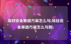 项目资金筹措方案怎么写(项目资金筹措方案怎么写的)