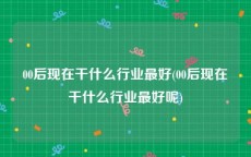 00后现在干什么行业最好(00后现在干什么行业最好呢)