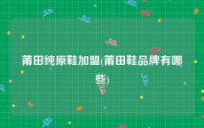 莆田纯原鞋加盟(莆田鞋品牌有哪些)