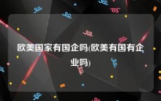 欧美国家有国企吗(欧美有国有企业吗)