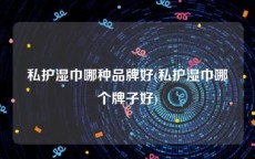 私护湿巾哪种品牌好(私护湿巾哪个牌子好)