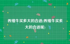 养殖牛买多大的合适(养殖牛买多大的合适呢)