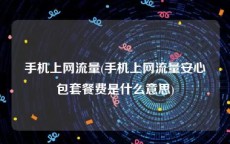 手机上网流量(手机上网流量安心包套餐费是什么意思)