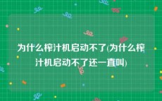 为什么榨汁机启动不了(为什么榨汁机启动不了还一直叫)