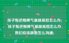 孩子叛逆期脾气暴躁易怒怎么办(孩子叛逆期脾气暴躁易怒怎么办我们应该跟她怎么沟通)