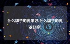 什么牌子的乳罩好(什么牌子的乳罩好穿)