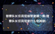 督察队长住宾馆报警是哪一集(督察队长住宾馆是什么电视剧)