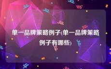 单一品牌策略例子(单一品牌策略例子有哪些)