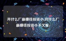 开什么厂最赚钱投资小(开什么厂最赚钱投资小不欠帐)