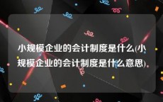 小规模企业的会计制度是什么(小规模企业的会计制度是什么意思)