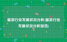 服装行业发展状况分析(服装行业发展状况分析报告)