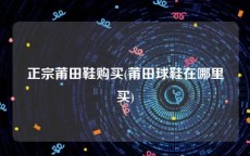 正宗莆田鞋购买(莆田球鞋在哪里买)