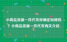 小商品货源一件代发你确定知晓吗？小商品货源一件代发有关介绍