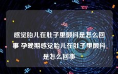 感觉胎儿在肚子里颤抖是怎么回事 孕晚期感觉胎儿在肚子里颤抖是怎么回事