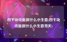 四千块钱能做什么小生意(四千块钱能做什么小生意冬天)