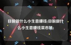 目前做什么小生意赚钱(目前做什么小生意赚钱菜市场)