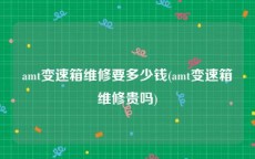 amt变速箱维修要多少钱(amt变速箱维修贵吗)