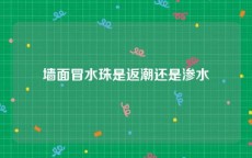 墙面冒水珠是返潮还是渗水