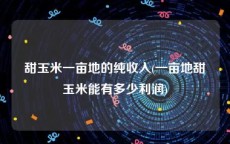 甜玉米一亩地的纯收入(一亩地甜玉米能有多少利润)