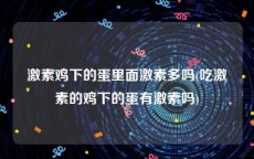激素鸡下的蛋里面激素多吗(吃激素的鸡下的蛋有激素吗)