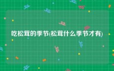 吃松茸的季节(松茸什么季节才有)