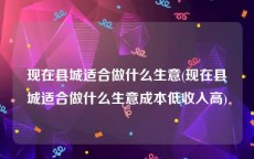 现在县城适合做什么生意(现在县城适合做什么生意成本低收入高)