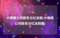 小规模公司股东分红流程(小规模公司股东分红流程图)